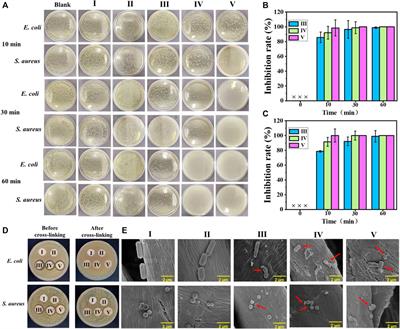 A universal coating strategy for inhibiting the growth of bacteria on materials surfaces